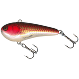 Chubby Darter CD4 CG