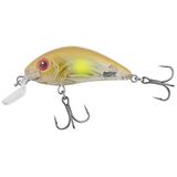 Vobler Salmo Hornet Rattlin SR H3.5F, Varianta: Hornet Rattlin SR H3.5F CAYU Clear Ayu