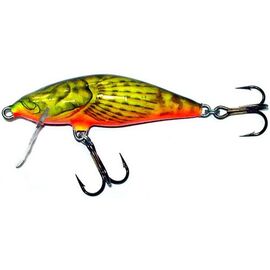 Bullhead BD6F HBD