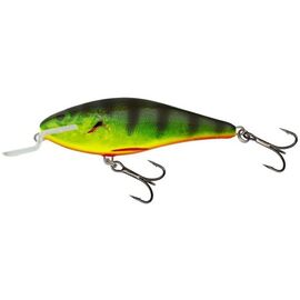Executor IEX9SR RHP