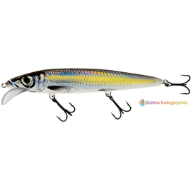 Whacky WY12F Silver Chartreuse Shad