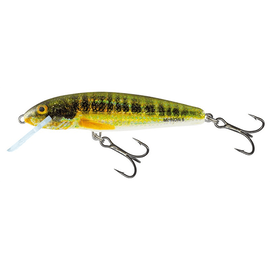 Minnow M6F HRM