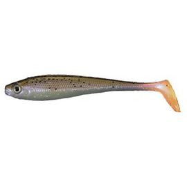 Shad Intensa INA 11cm (5buc/Plic) R