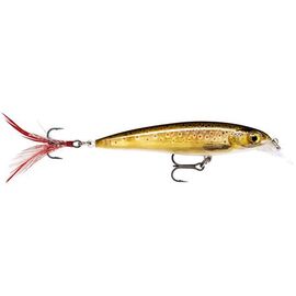 X-Rap XR04 Live Trout