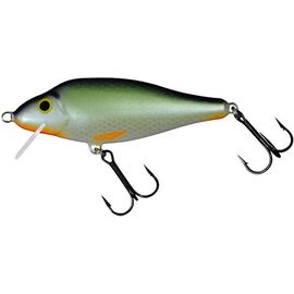 Ares 70SR 7cm/8gr RGF