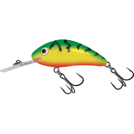Hornet Rattlin H3.5F GRT