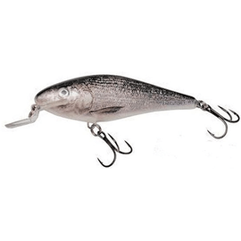 Vobler Salmo Executor IEX5SR, Varianta: Executor IEX5SR CWF Classic White Fish